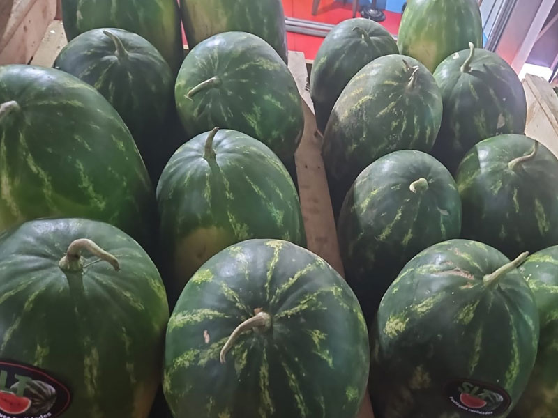 Produce 20