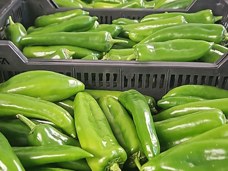 Produce 27
