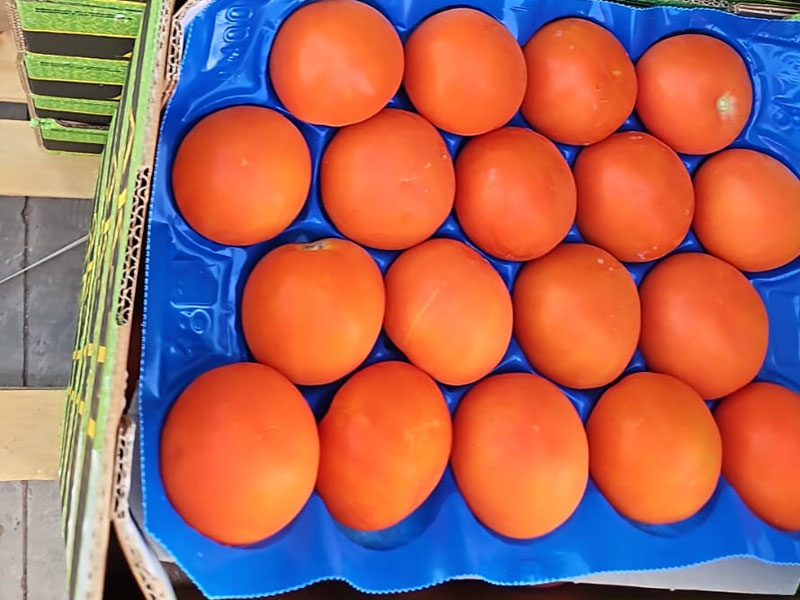 Produce 28