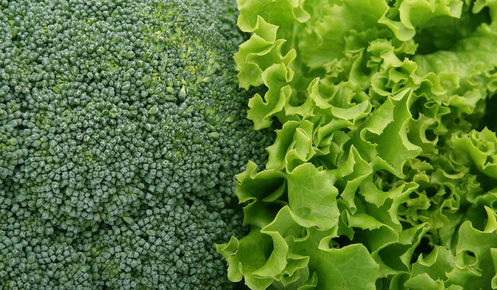 Farm Greens Supply